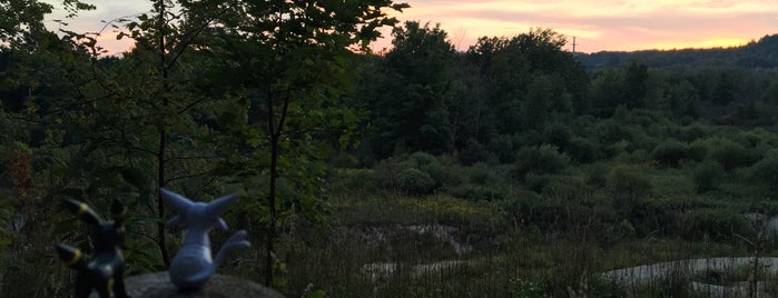 Lone Pine Trailhead is one of trails.