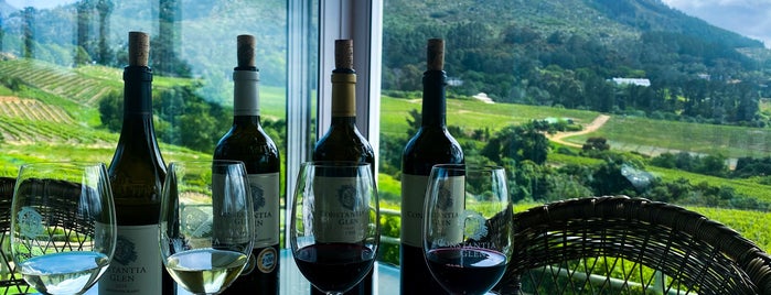 Constantia Glen Wine Estate is one of Cape Town.