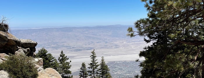 Notch 3 - Desert Trail is one of Todd : понравившиеся места.