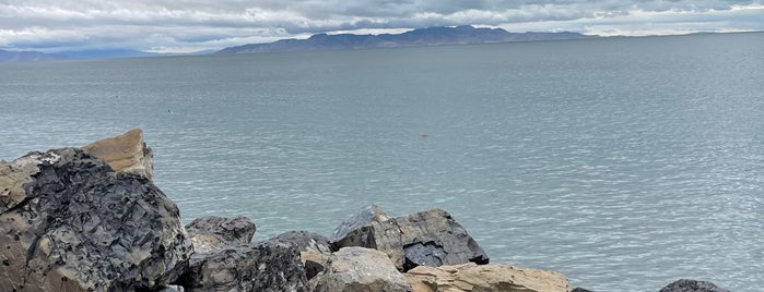 Great Salt Lake State Park is one of Posti che sono piaciuti a Carl.