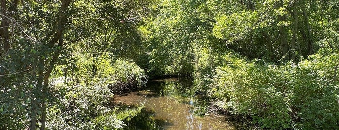 Massapequa Preserve is one of Long Island Outdoors.