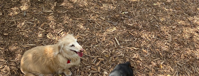 Piedmont Park Small Dog Park is one of The 15 Best Dog Parks in Atlanta.