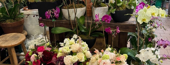 TJ  Flowers and Events is one of Flower shops.