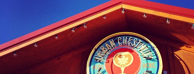 Urban Chestnut Brewing Company is one of STL Bar Musts.