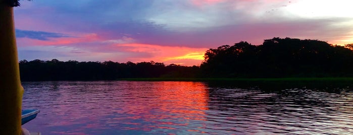 Tortuguero is one of Must Do's While in Costa Rica.