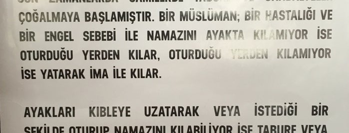 Nallıhan Merkez Yeni Camii is one of Camiler.