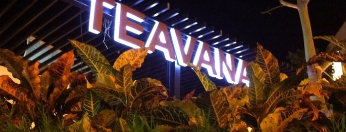 TEAVANA is one of Cancun Rstrnts.