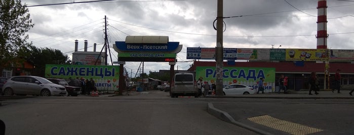 Птичий рынок is one of Екатеринбург.