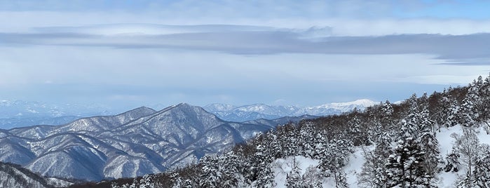 Grandeco Snow Resort is one of Japan Ski Resorts.