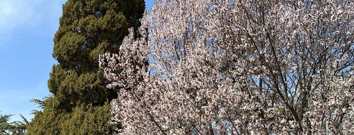 Tiantan Park is one of Beijing.