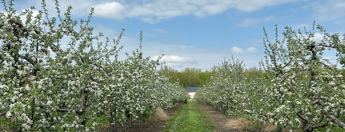 Blake's Orchard & Cider Mill is one of Midest Travel List.