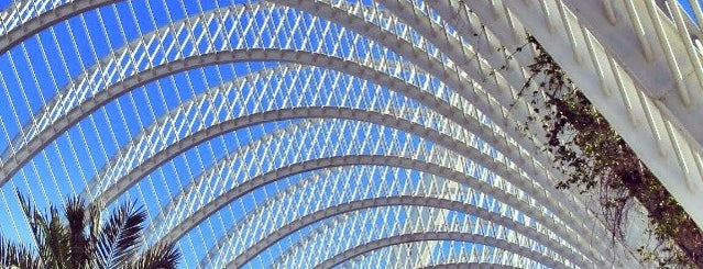 Umbracle is one of Zachary's Saved Places.