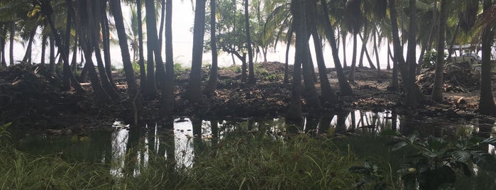 Honomalino Beach is one of Tempat yang Disukai Dan.