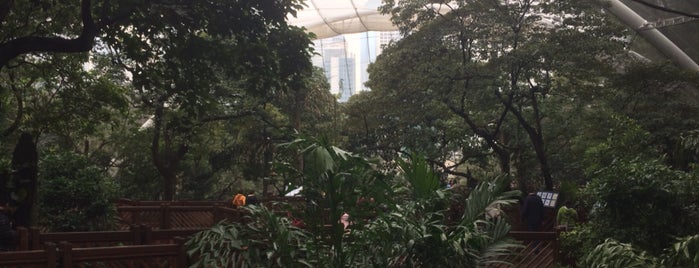 Hong Kong Park is one of Dan'ın Beğendiği Mekanlar.