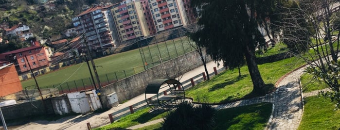Ahmet Şerifoğlu Stadyumu is one of Stadyumlar / Futbol Sahaları - Stadium.
