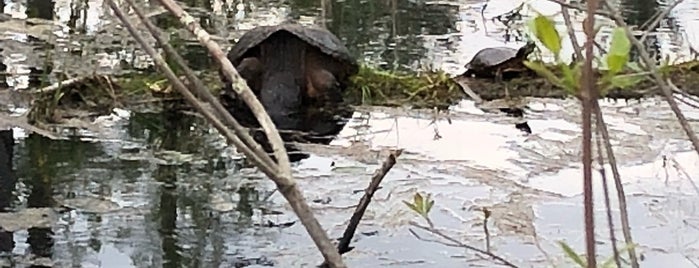 Canoe Meadows Wildlife Sanctuary is one of Lori 님이 좋아한 장소.