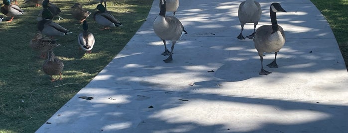 Santee Lakes Regional Park is one of Tog Places.