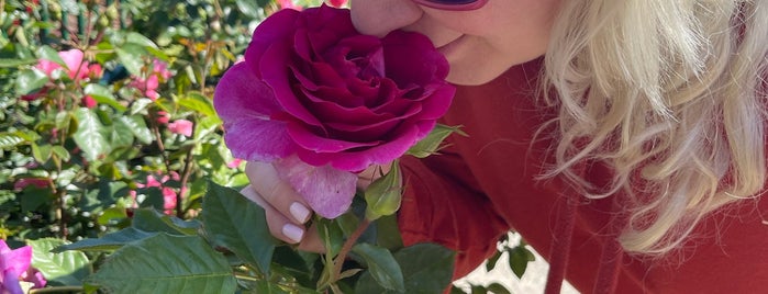 Armstrong Garden Centers is one of The 15 Best Places for Flowers in San Diego.