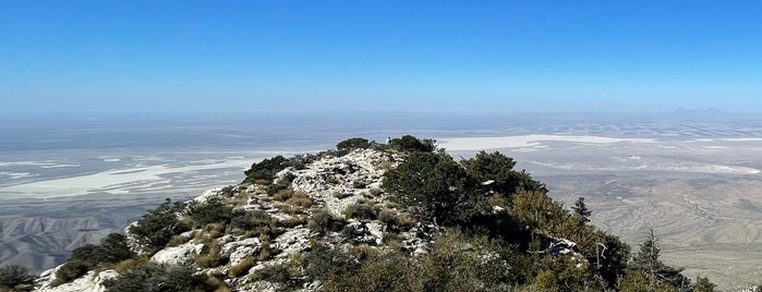 Guadalupe Mountains National Park is one of สถานที่ที่ Mark ถูกใจ.