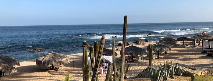 Cabo is one of Vacation Spots.