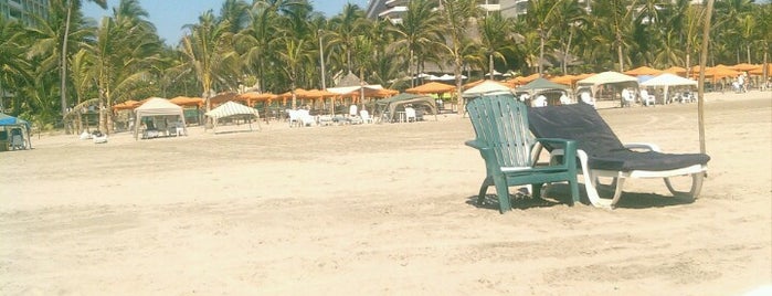 Playa Princess is one of สถานที่ที่ Alejandro ถูกใจ.