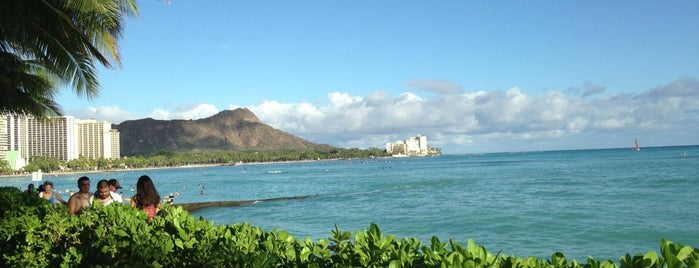 RumFire is one of Waikiki / Oahu Hawaii.