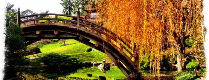 The Huntington Library, Art Collections, and Botanical Gardens is one of Nick: сохраненные места.