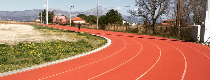 Dimotiko Stadio Oropou is one of Panos 님이 저장한 장소.