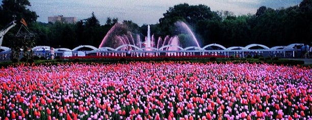 Gorky Park is one of Moscow.