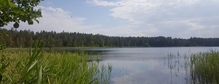 Rideļu Ezers is one of Latvia.