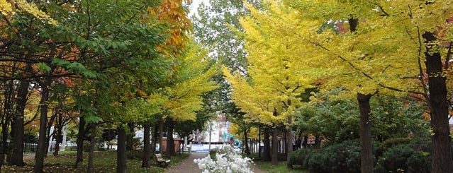 Nagayama Memorial Park is one of petitcurry : понравившиеся места.