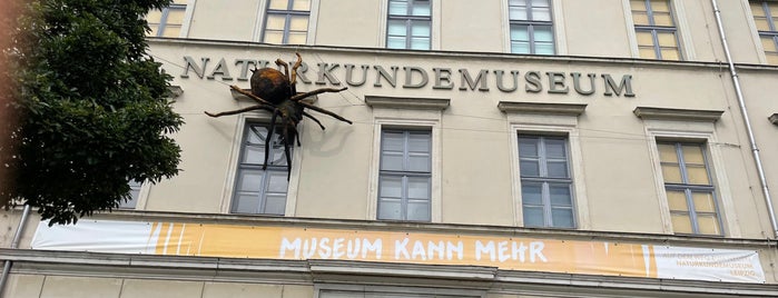 Naturkundemuseum is one of Leipzig.