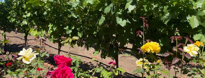 De La Montanya Vineyards is one of Sonoma Wine Country.