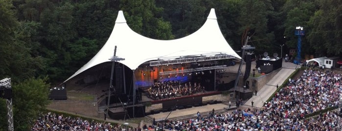 Waldbühne is one of Clemensさんのお気に入りスポット.