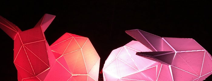 Portland Winter Light Festival is one of Pacific Northwest.