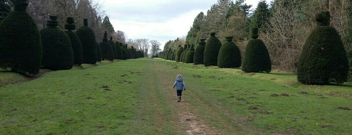 Clipsham Yew Tree Avenue is one of Leicester Bucket list.