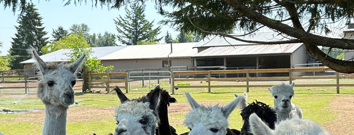 Kensington Prairie Farm is one of Vancouver - kids.