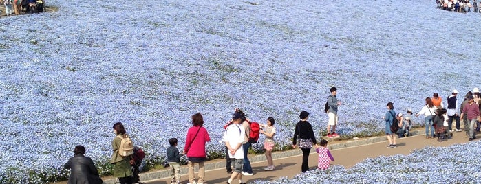みはらしの丘 is one of Places to visit in Japan.