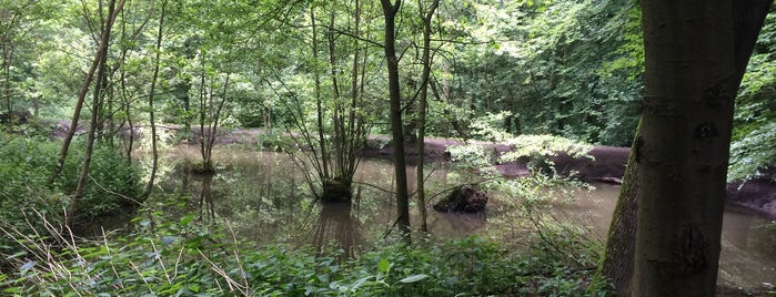 Naturschutzgebiet Bolmke (DO-Mitte) is one of Naturschutzgebiete Dortmunds.