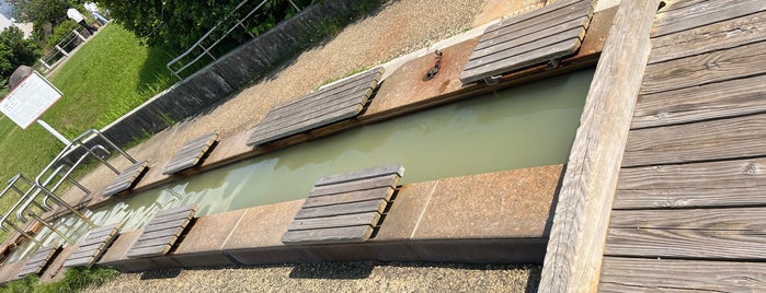 桜島溶岩なぎさ公園足湯 is one of Hot spring.