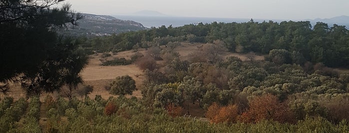 Kozbeyli Köyü pazarı is one of Lieux qui ont plu à Dr.Gökhan.