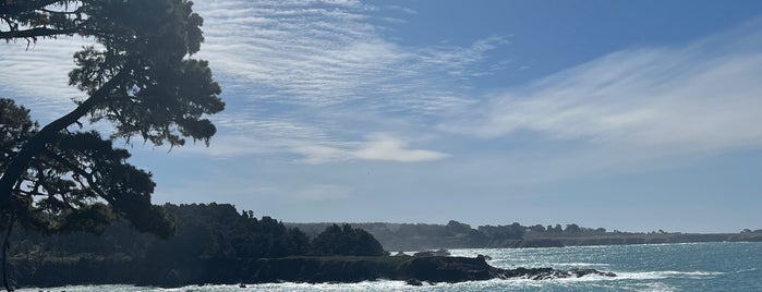 Russian Gulch State Park is one of Mendocino.