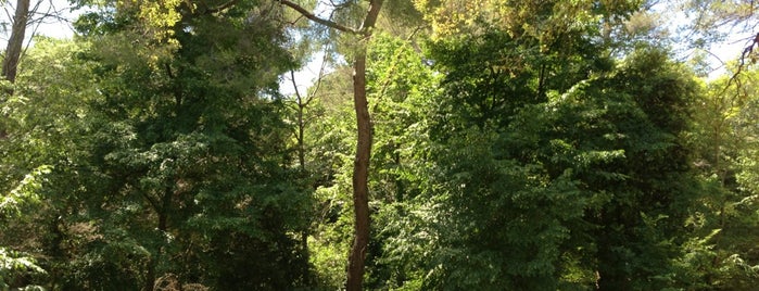 Parc de Vaugrenier is one of สถานที่ที่ Bernard ถูกใจ.