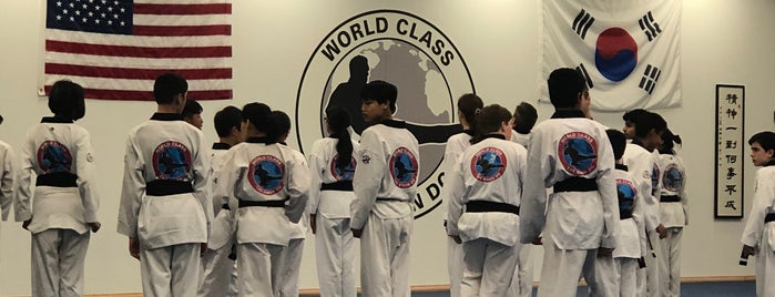 World Class Tae Kwon Do is one of Out and about.