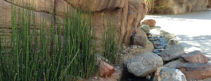 Springs Preserve is one of Vegas to do.