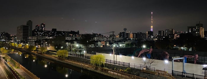 丸八橋 is one of 東京橋 ～下町編～.