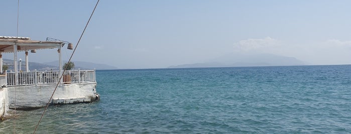 Ireon Beach is one of Samos.