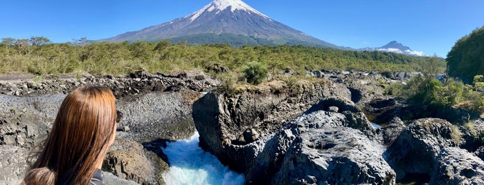 P.N. Vicente Pérez Rosales - Sector Saltos del Petrohué is one of Puerto varas vacas.