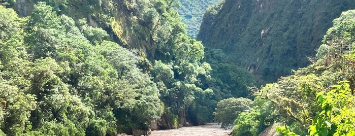 Camino Inca / Railway Hasta Machu Picchu is one of Machupicchu.
