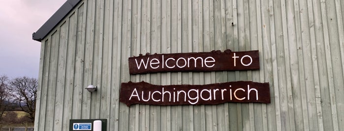 Auchingarrich Wildlife Centre is one of Aminals.